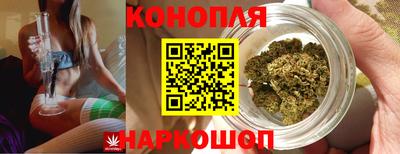 гидра Заволжье
