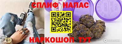 гидра Заволжье