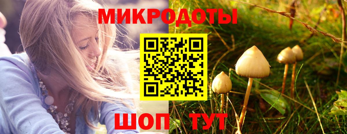 Псилоцибиновые грибы Psilocybe  Вход с VPN  Кумертау 
